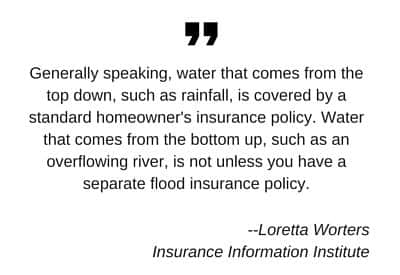 water damage quote